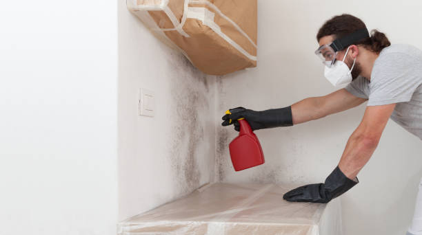 Professional Mold Removal technician working in Secaucus, NJ