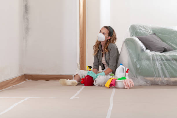 Reliable Mold Removal contractor in Secaucus, NJ by WQB Mold Removal